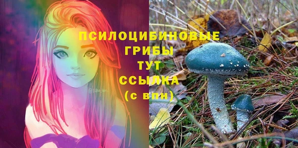 крисы Алексин