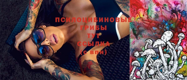 2c-b Алзамай