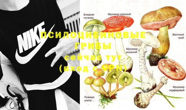 марки nbome Алексеевка