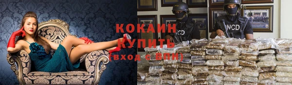 крисы Алексин