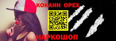 спайс Кингисепп