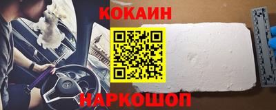 спайс Кингисепп
