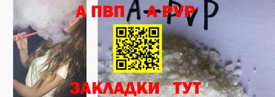 спайс Кингисепп