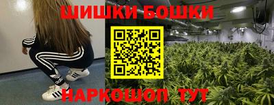 спайс Кингисепп