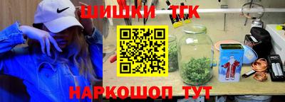 спайс Кингисепп