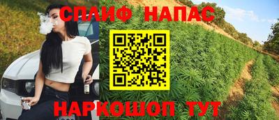 спайс Кингисепп