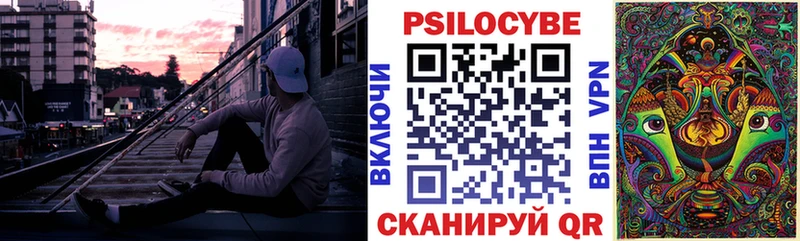 где купить   Кудрово  Галлюциногенные грибы мицелий 