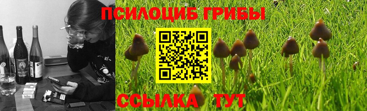 Псилоцибиновые грибы мухоморы  Вход с VPN  Кудрово  Псилоцибиновые грибы мицелий 